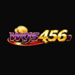 WGS456 Game