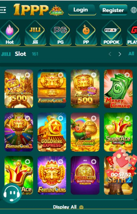 1PPP Game